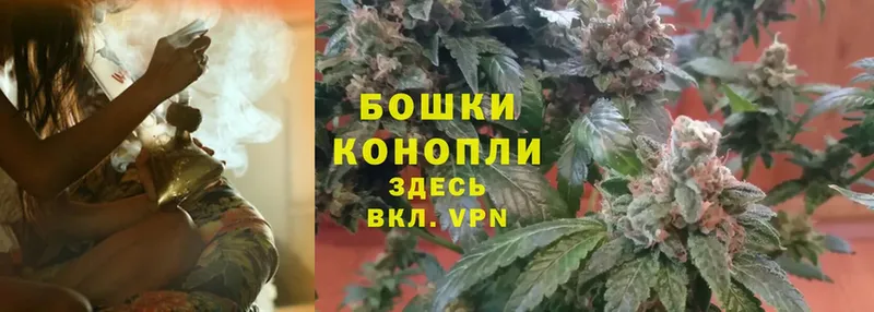 Шишки марихуана Amnesia  где купить наркоту  Кукмор 